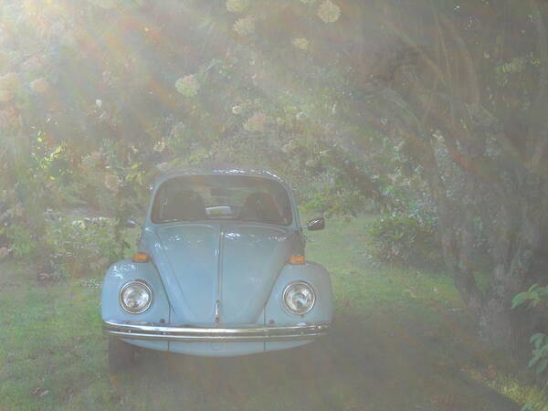 Car Art Print featuring the photograph Psychedelic Bug by Diannah Lynch