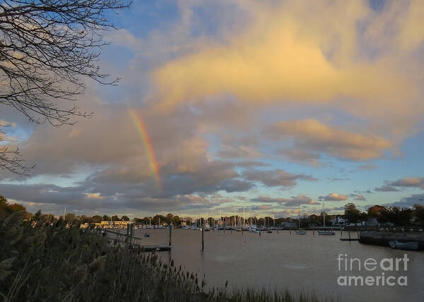 Sunset Art Print featuring the photograph Rainbow Over WIckford by Lili Feinstein