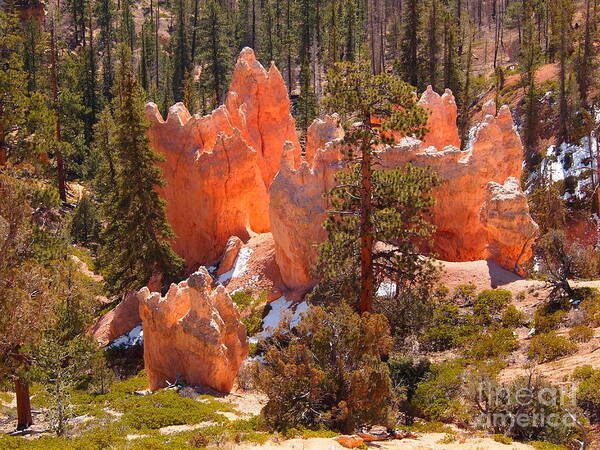 Bryce Canyon Art Print featuring the photograph Ready for our hike by Jennifer Craft