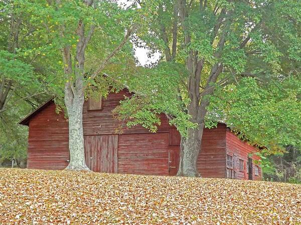 Barn Art Print featuring the photograph Red Barn Hidden in the Woods by Bill TALICH