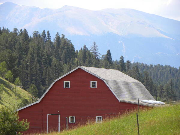 Barn Art Print featuring the photograph Barn - Pikes Peak Burgess Res Divide CO by Margarethe Binkley
