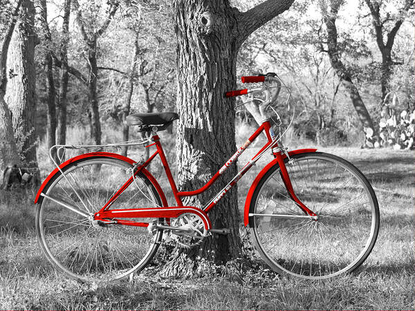 Red Bicycle Art Print featuring the photograph Red Bicycle by James Granberry