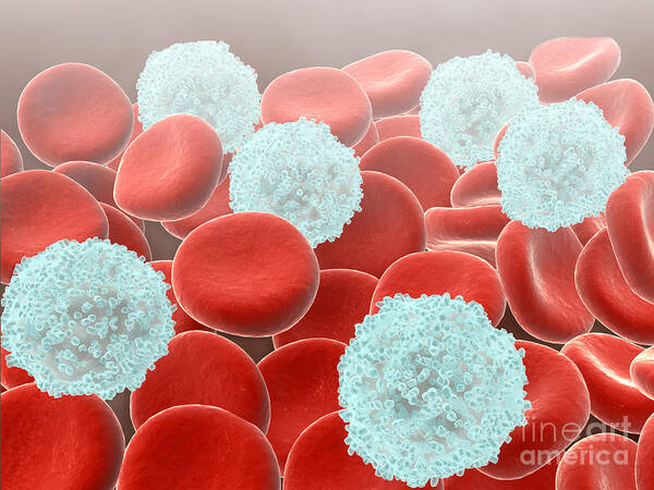 Horizontal Art Print featuring the digital art Red Blood Cells With White Blood Cells by Stocktrek Images