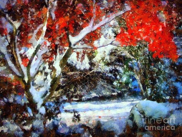 Red Japanese Maple Art Print featuring the photograph Red Japanese Maple in snow by Janine Riley