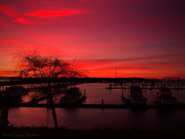 Sunrise Art Print featuring the photograph Red Sky In The Morning Two by Joyce Dickens