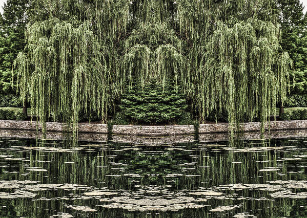 Tree Art Print featuring the photograph Reflecting Willows by Rebecca Hiatt