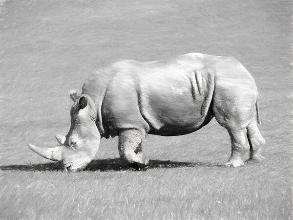 Africa Art Print featuring the digital art Rhinoceros Charcoal Drawing by Roy Pedersen