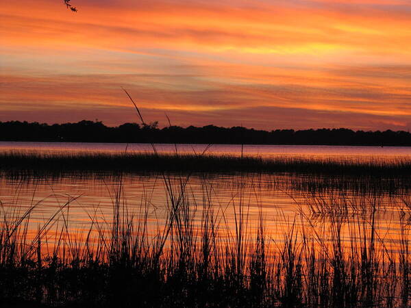 Sunset Art Print featuring the photograph Ribbon Reflections by Joetta Beauford