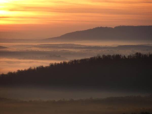 Sunrise Art Print featuring the photograph River Fog Sunrise by William Fox