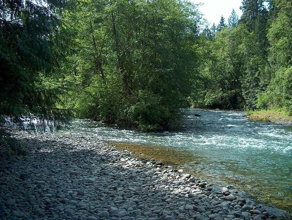 Landscape Art Print featuring the photograph River Fork by Wayne Enslow