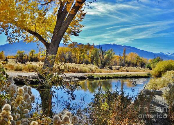 Sky Art Print featuring the photograph River Works by Marilyn Diaz
