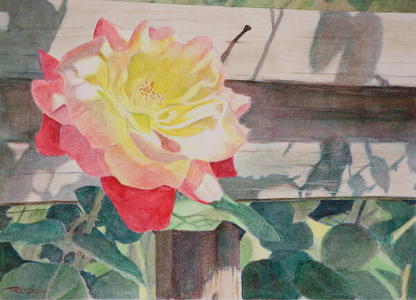 Art Art Print featuring the painting Rose Aglow by Christopher Reid