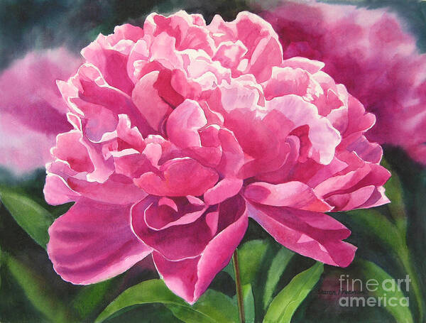 Rose Colored Art Print featuring the painting Rose Colored Peony Blossom by Sharon Freeman