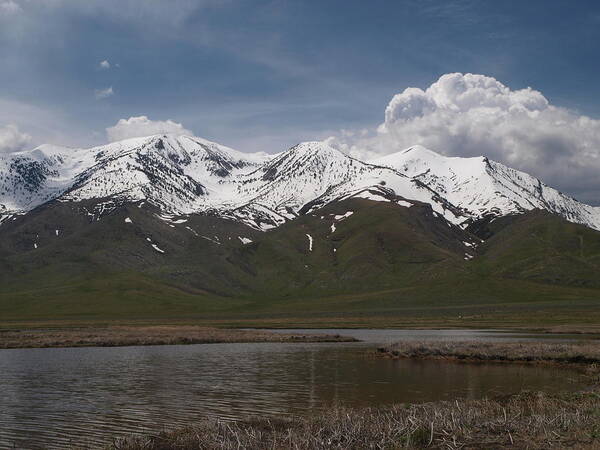 Elko Nevada Landscape Photography Art Print featuring the photograph Rubies by Jenessa Rahn