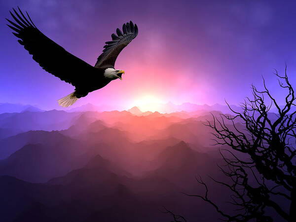 Eagle Art Print featuring the digital art Sacred Spaces by Andreas Thust