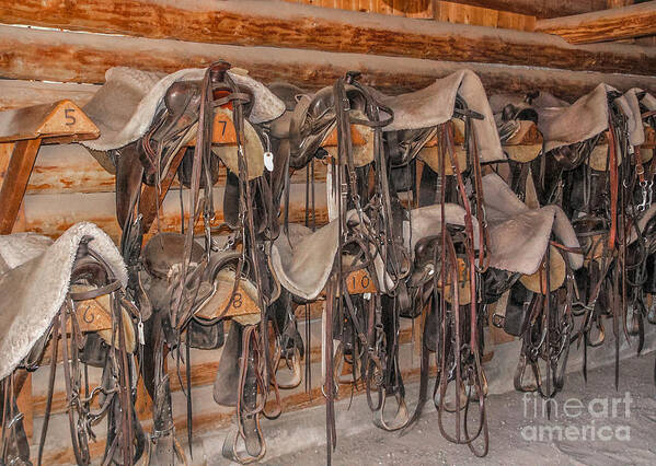 Bridle Art Print featuring the photograph Saddles and Bridles by Sue Smith