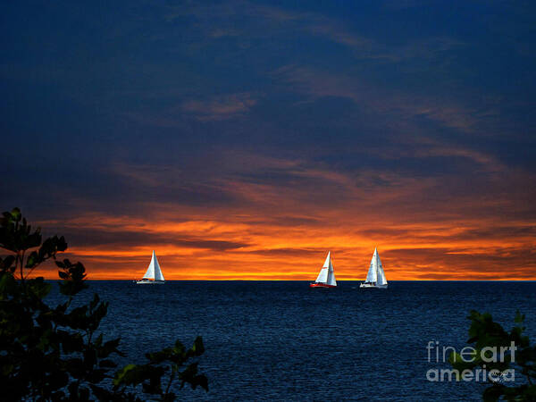 Sailboat Art Print featuring the photograph Sailing Into The Sunset by Ms Judi