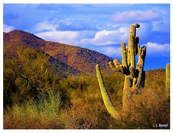Arizona Art Print featuring the photograph Same Old Cactus by L L Stewart
