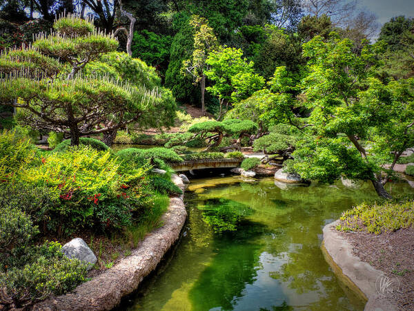 Huntington Library Art Print featuring the photograph San Marino - Huntington Botanical Gardens 004 by Lance Vaughn