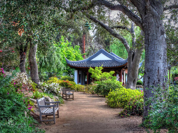 Huntington Library Art Print featuring the photograph San Marino - Huntington Botanical Gardens 007 by Lance Vaughn