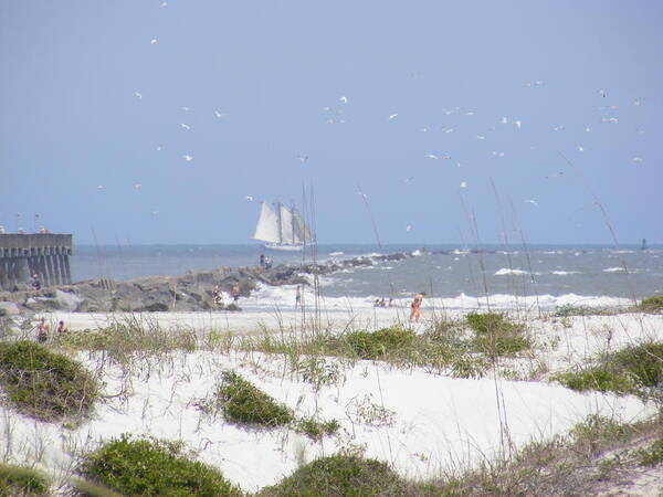 Beach Art Print featuring the photograph Schooner by LucendaLynn K