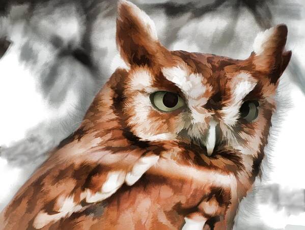 Screech Owl Art Print featuring the photograph Screech Owl Photo Art by Constantine Gregory