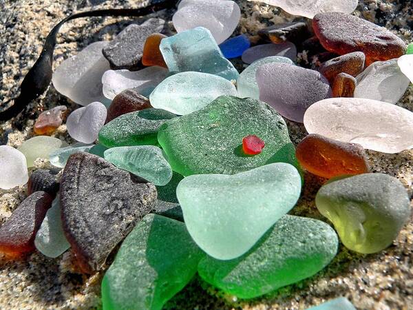 Janice Drew Art Print featuring the photograph Sea glass in multicolors by Janice Drew