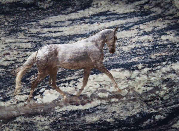 Horses In The Ocean Art Print featuring the photograph Sea Stallion by Melinda Hughes-Berland