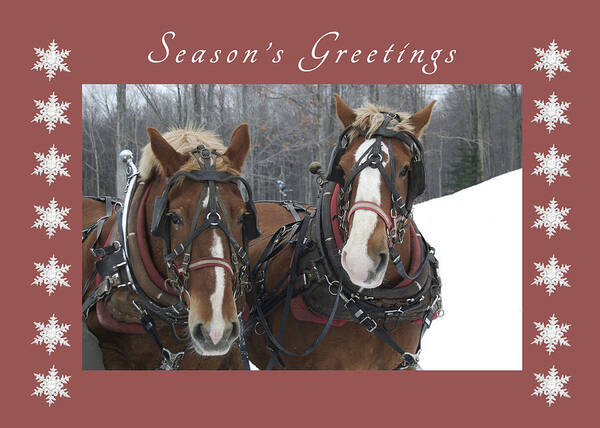 Seasons Greetings Art Print featuring the photograph Seasons Greetings Draft Horses by Michael Peychich