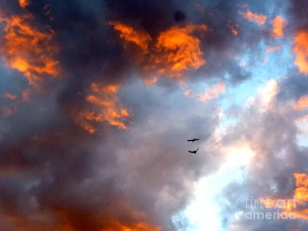 Sunset Art Print featuring the photograph Sedona Sunset Ravens by Mars Besso