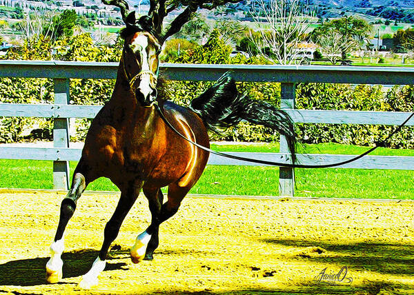 Arabian Horse Art Print featuring the digital art Shai by Janice OConnor