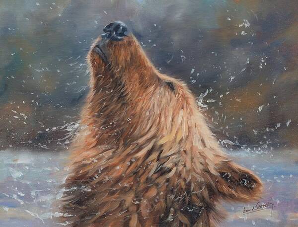 Bear Art Print featuring the painting Shake it by David Stribbling