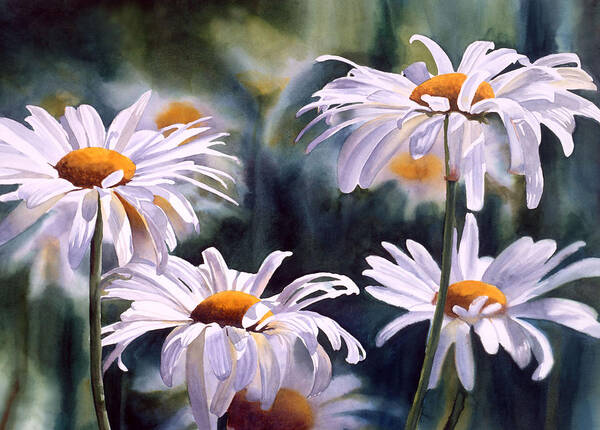 Daisy Watercolor Art Print featuring the painting Shasta Parade by Sharon Freeman