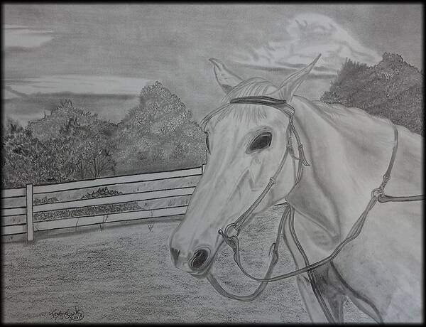 Horses Art Print featuring the drawing Sheika by Tony Clark