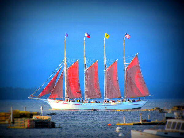 Red Art Print featuring the photograph Ship in Bar Harbor with brightly colored sails by Toni and Rene Maggio