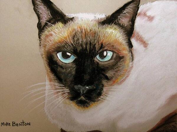 Siamese Cat Art Print featuring the pastel Siamese by Mike Benton