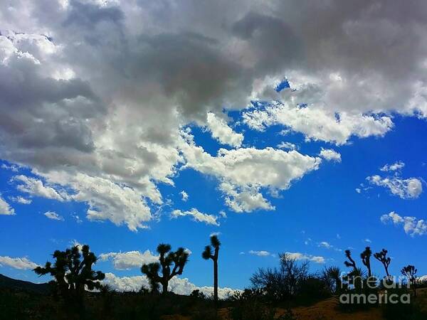 White Clouds Art Print featuring the photograph Silhouettes by Angela J Wright