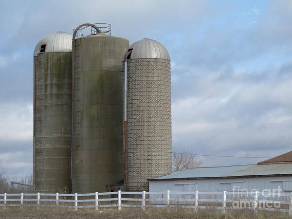 Silos Art Print featuring the photograph Silos by Ann Horn