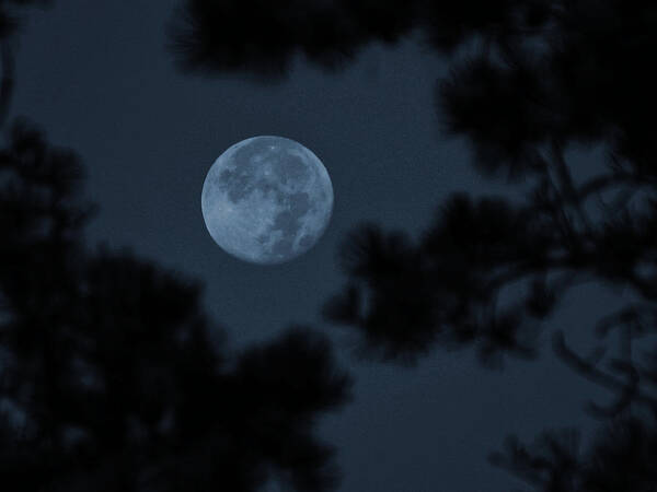 Silver Moon Art Print featuring the photograph Silver Cast of Harvest Moon by Jeremy McKay