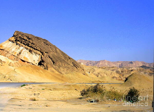 Group Art Print featuring the photograph Sinai Desert by Jason Sentuf