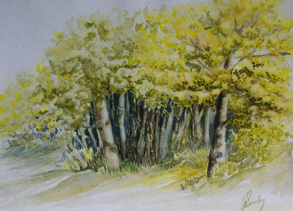 Whiteshell Provincial Park Art Print featuring the painting Sketching Trees by Jo Smoley