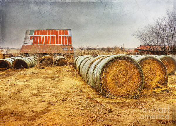 Barn Art Print featuring the photograph Slumbering in the Countryside by Betty LaRue