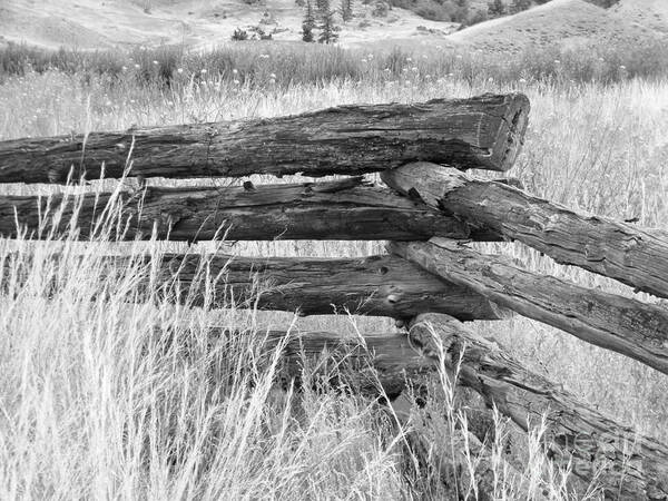 Snake Fence Art Print featuring the photograph Snake Fence by Ann E Robson