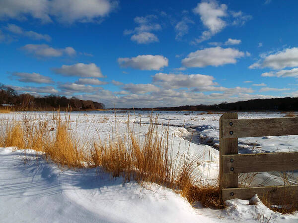 Snow Art Print featuring the photograph Snow Marsh by Dianne Cowen Cape Cod Photography