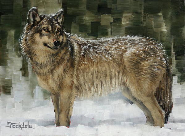 Wolf Art Print featuring the painting Snowy Wolf by Margaret Stockdale