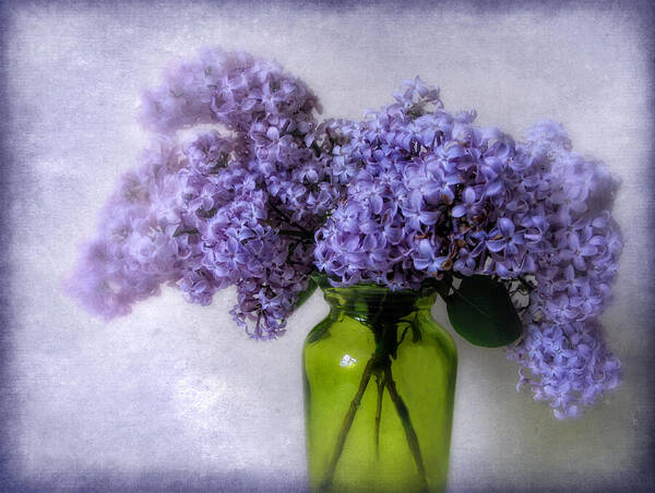 Flowers Art Print featuring the photograph Soft Spoken by Jessica Jenney