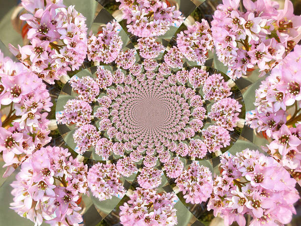 Flower Art Print featuring the photograph Spring kaleidoscope by Rumiana Nikolova