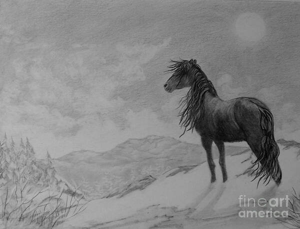 Horse Art Print featuring the drawing Spring on the Wind by Peggy Miller
