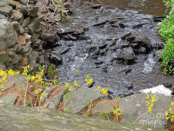 Creek Art Print featuring the photograph Springtime Creek by Christina Verdgeline