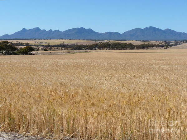 Australia Art Print featuring the photograph Stirling Range - Western Australia by Phil Banks